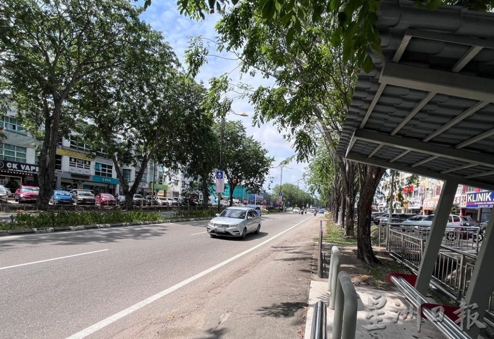 枝桠茂密需尽快修剪保障道路使用者安全