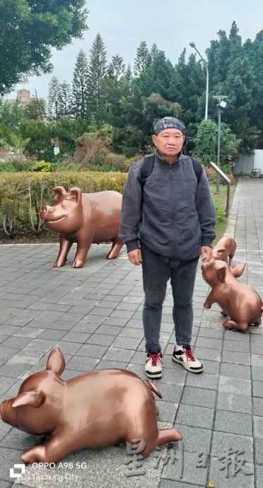 许金标属猪爱猪收集品,与同龄太太共同爱好