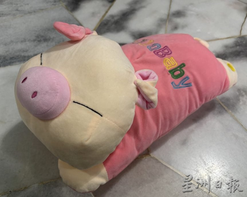 许金标属猪爱猪收集品,与同龄太太共同爱好