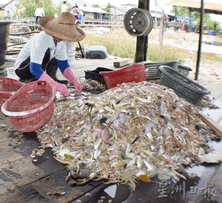 渔业经营条件趋严峻 鱼商纷转战种植养殖业
