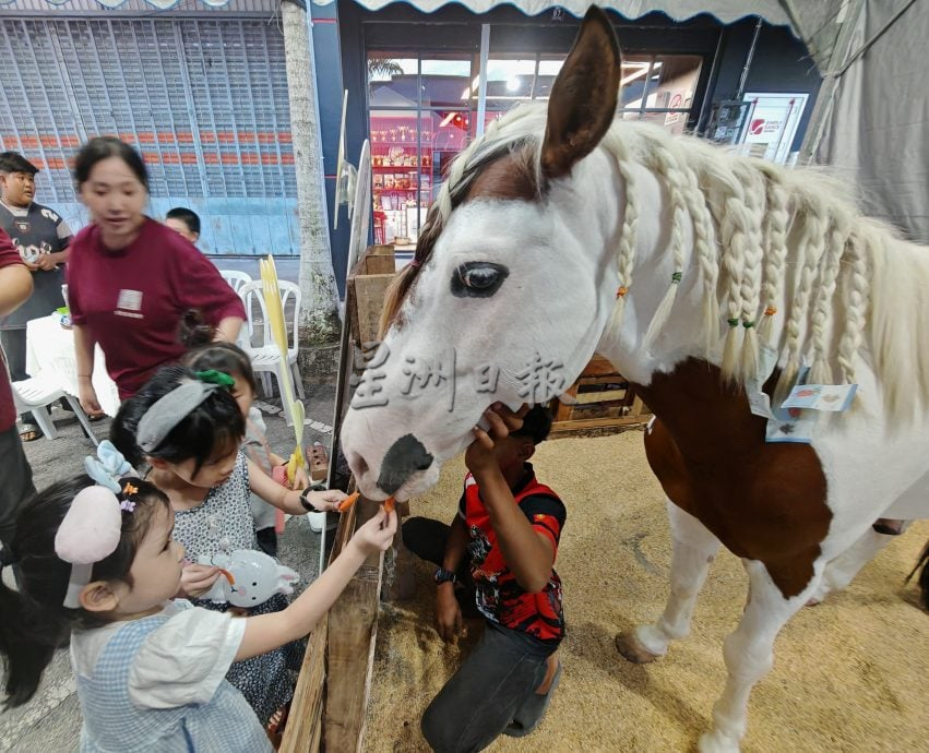 （大北马）吉打天后宫首开先河，带着真的马儿出巡绕境，成为吉打州内华人庙宇的创例。