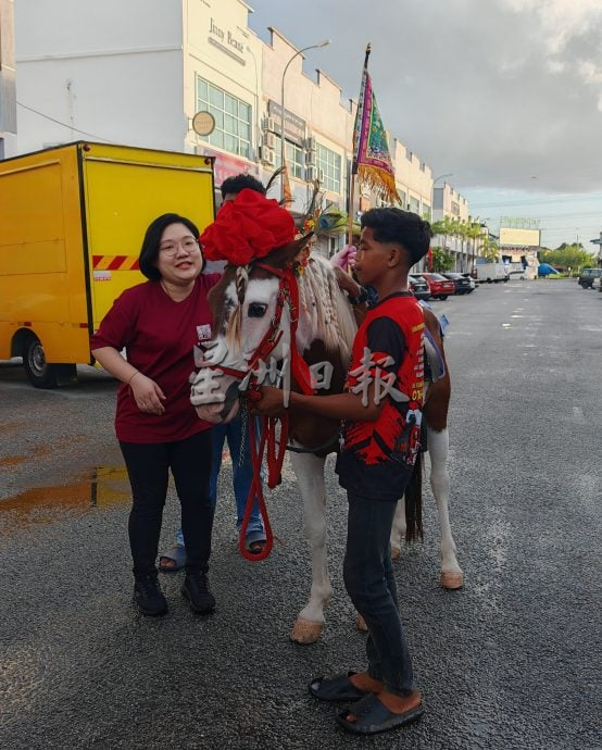 （大北马）吉打天后宫首开先河，带着真的马儿出巡绕境，成为吉打州内华人庙宇的创例。
