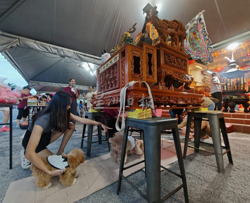 （大北马）吉打天后宫首开先河，带着真的马儿出巡绕境，成为吉打州内华人庙宇的创例。