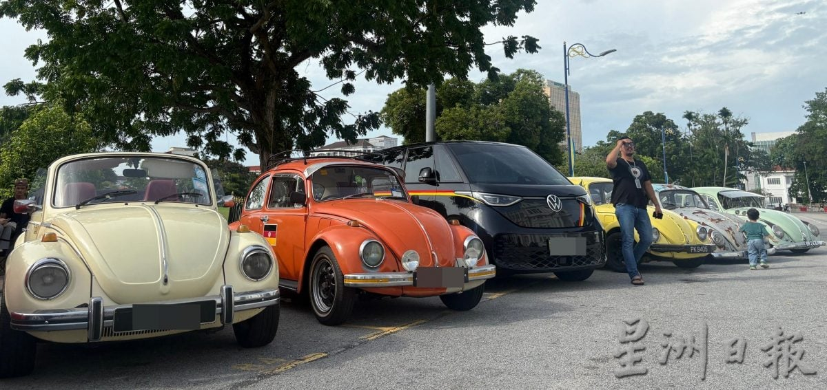 （大北马）槟市政厅献捐1万树苗　支持古董车爱好者俱乐部植树运动