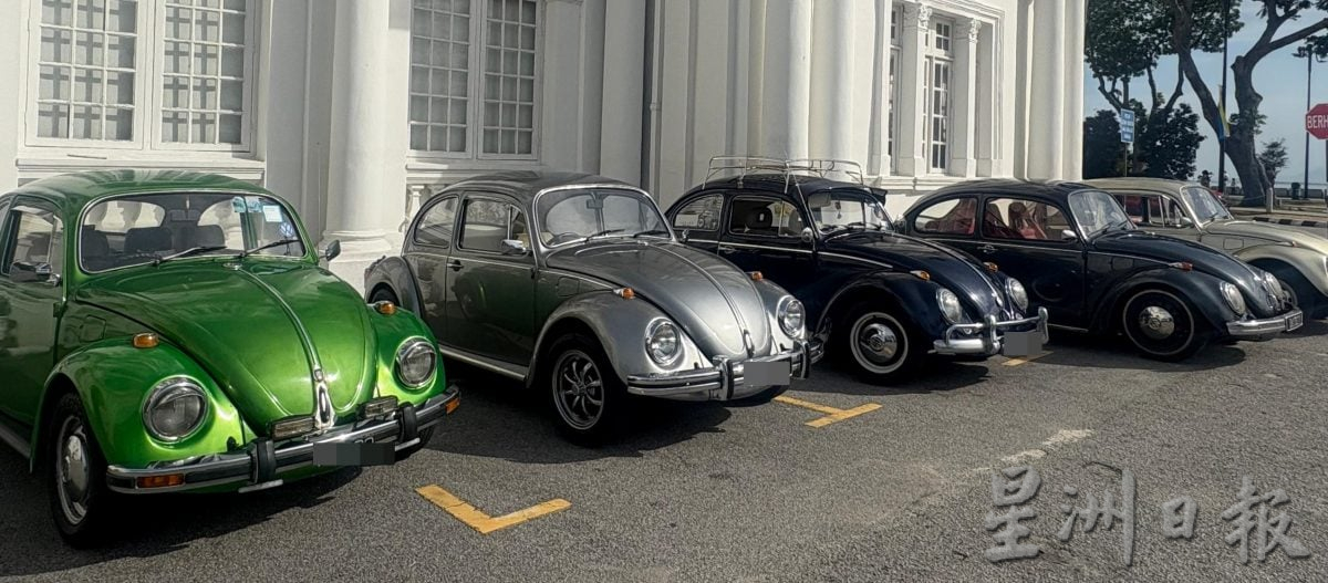 （大北马）槟市政厅献捐1万树苗　支持古董车爱好者俱乐部植树运动