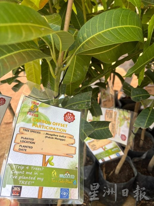 （大北马）槟市政厅献捐1万树苗　支持古董车爱好者俱乐部植树运动