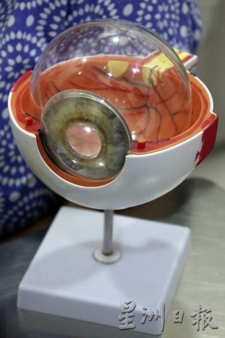 狗狗患上白内障怎么办?