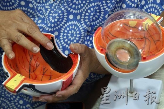 狗狗患上白内障怎么办?