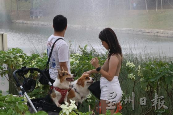 【文创市集热潮/01】当市集常态化,产品千篇一律,文创市集要如何深耕自己的底气?