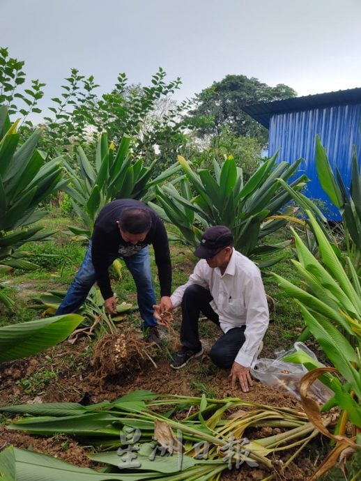 有故事的人:从农家小子到土壤工作者