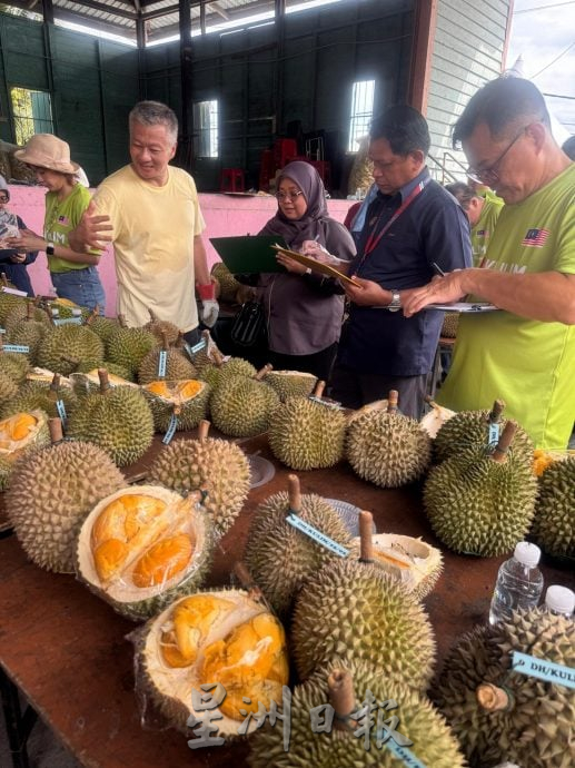 （大北马) 新村榴梿之王争霸赛