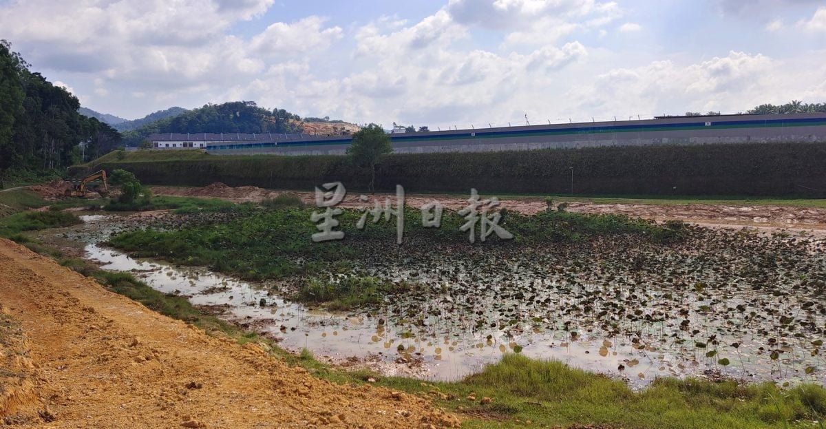 供星洲网：芙蓉佳丽城集水池泥沙淤积严重 7月启动为期半年清理工程 庄雪和：施工期避免入内 以防意外