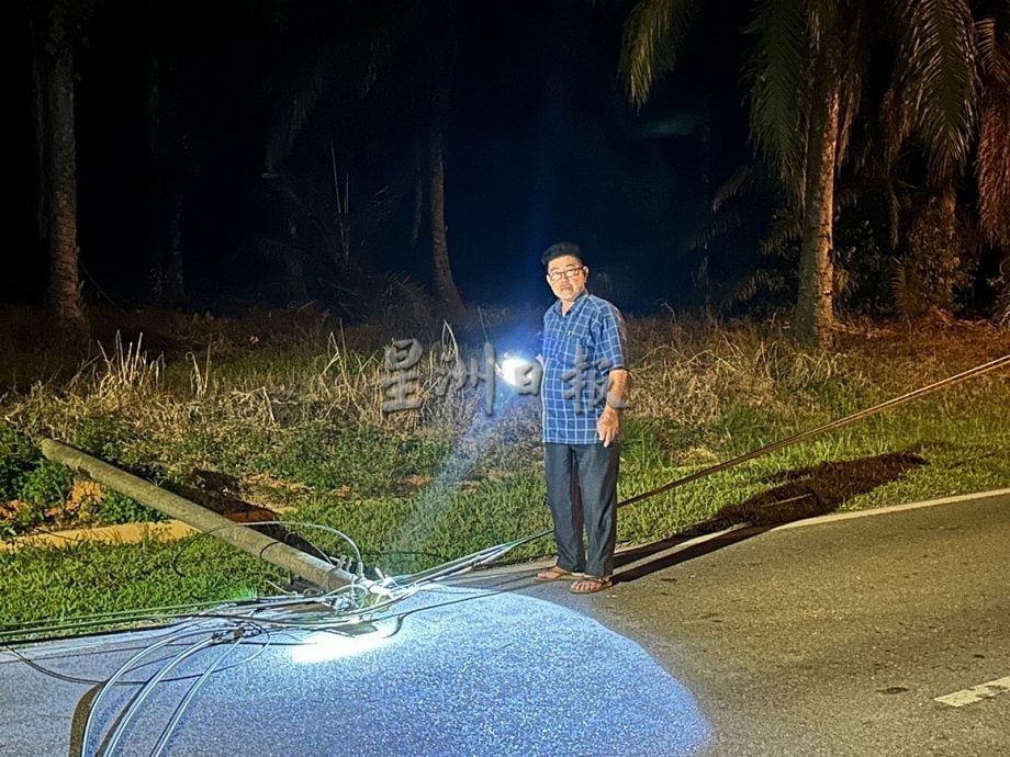 NS马口:榕吉大路边棕树倒下压中光纤拉断柱子