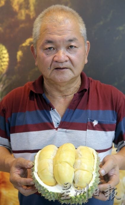 霹榴梿黄金季节 货足价平人气旺