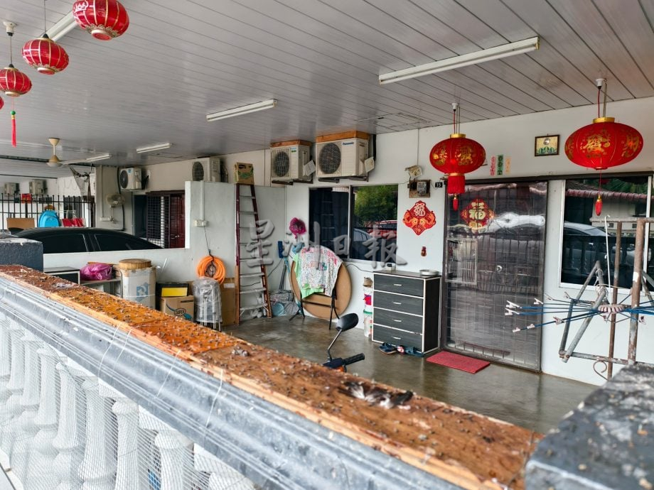 （大北马）五公司花园野猴滋扰