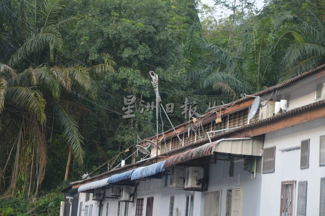 （大北马）五公司花园野猴滋扰