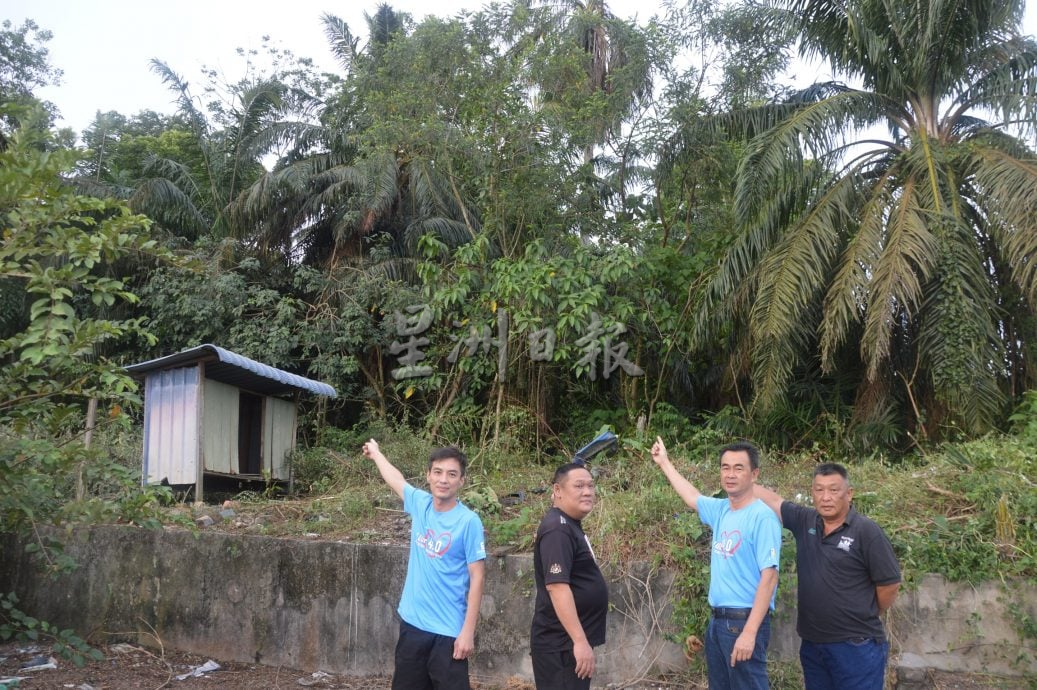 （大北马）五公司花园野猴滋扰