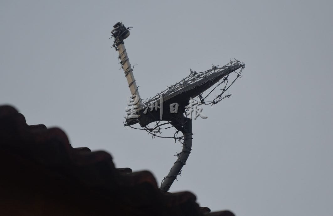 （大北马）五公司花园野猴滋扰