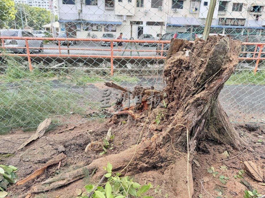 (大北马)王宇航记者会