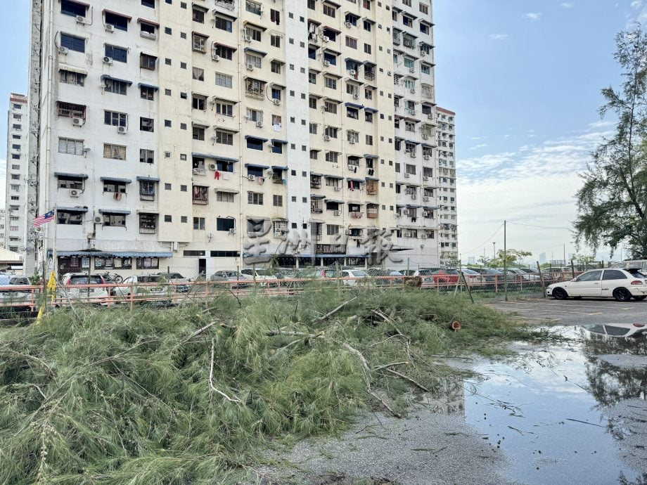 (大北马)王宇航记者会