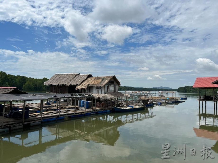 (19/7见报)星角摄/探秘㐷莫河红树林 独特生态惬意之旅