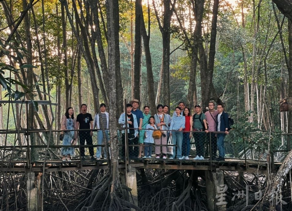 (19/7见报)星角摄/探秘㐷莫河红树林 独特生态惬意之旅