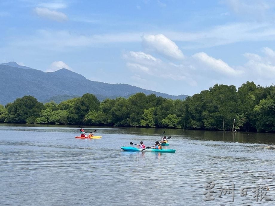 (19/7见报)星角摄/探秘㐷莫河红树林 独特生态惬意之旅