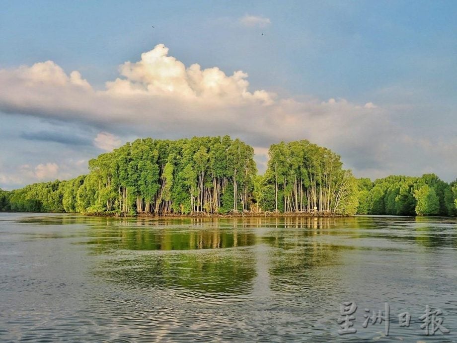 (19/7见报)星角摄/探秘㐷莫河红树林 独特生态惬意之旅