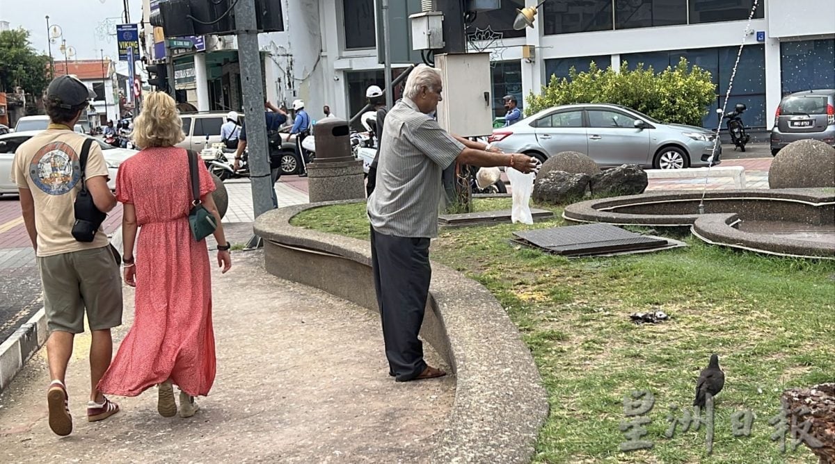 （古城第2版主文）鸽子不见了！小印度喷水池今早“空城”