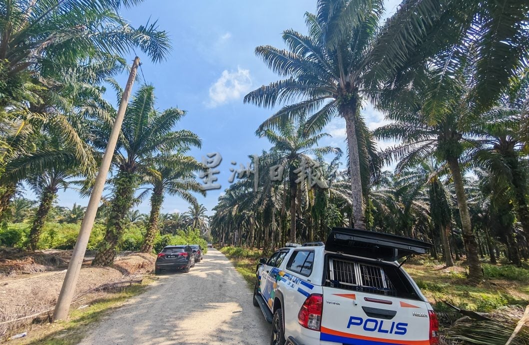 “偷燕窝贼持刀袭车” 燕屋主开枪击伤一贼