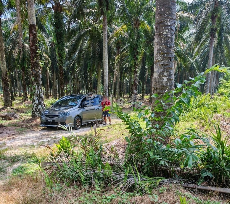 “偷燕窝贼持刀袭车” 燕屋主开枪击伤一贼