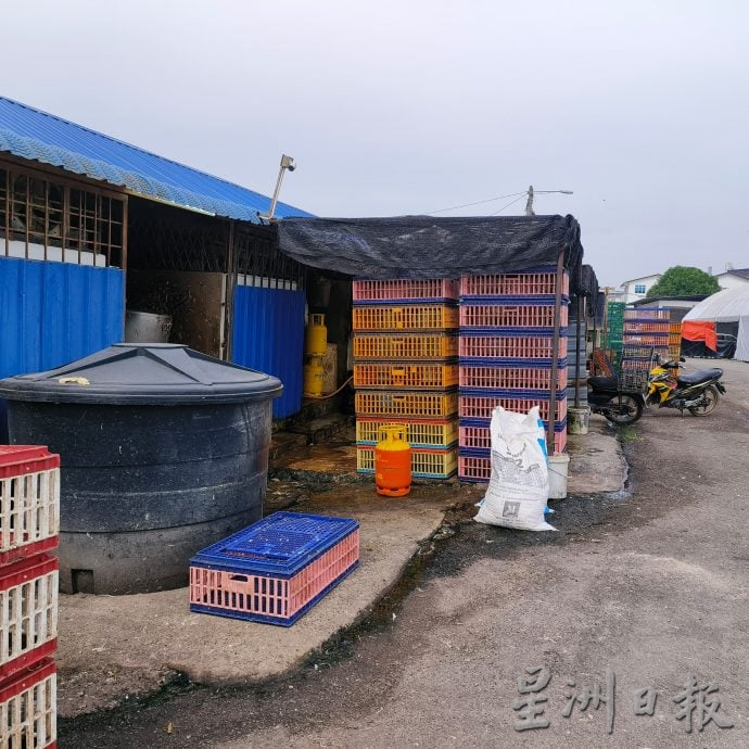 东:文德甲巴刹鸡档提升工程完成启用后 禁在巴刹宰鸡 鸡贩措手不及