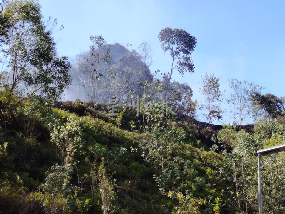 慈济国际学校后方丛林火患 40消拯员合力控制火势