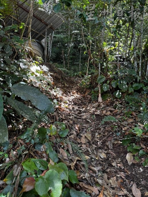 男子涉嫌与继姐乱伦致孕 婴儿出生后遭掩埋