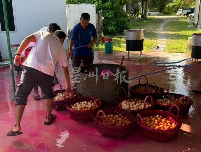 （大北马）顶新园阴魂篮啅公庙红蛋盛会再创新高