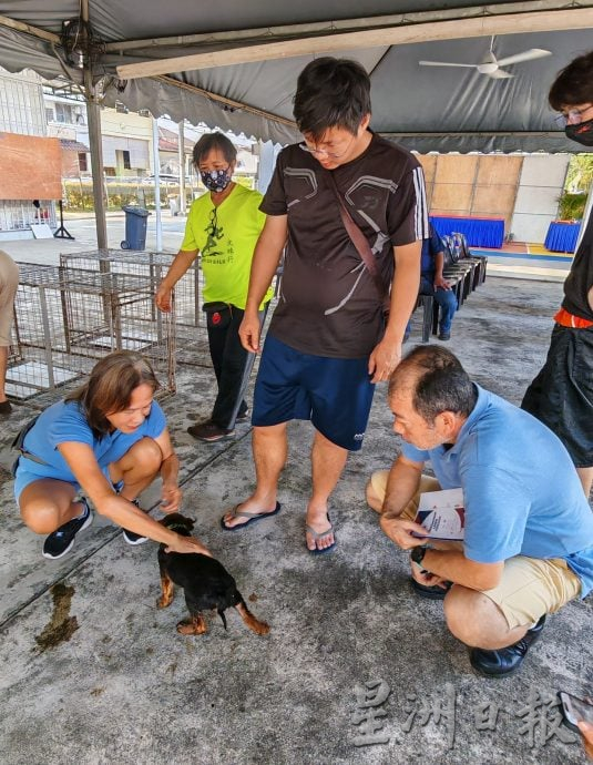 (已签发)柔:**版三头**新山市政厅盼民众配合   减少“毛孩”遗弃事件