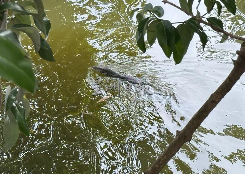 （古城第二版主文）武牙拉也班底沿河走道堆积垃圾