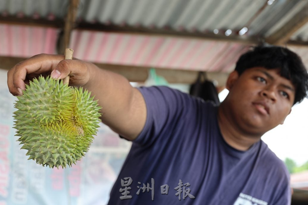 青皮榴梿产量暴跌 部分果农没收成