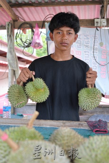 青皮榴梿产量暴跌 部分果农没收成