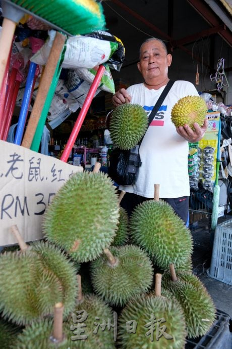 青皮榴梿产量暴跌 部分果农没收成