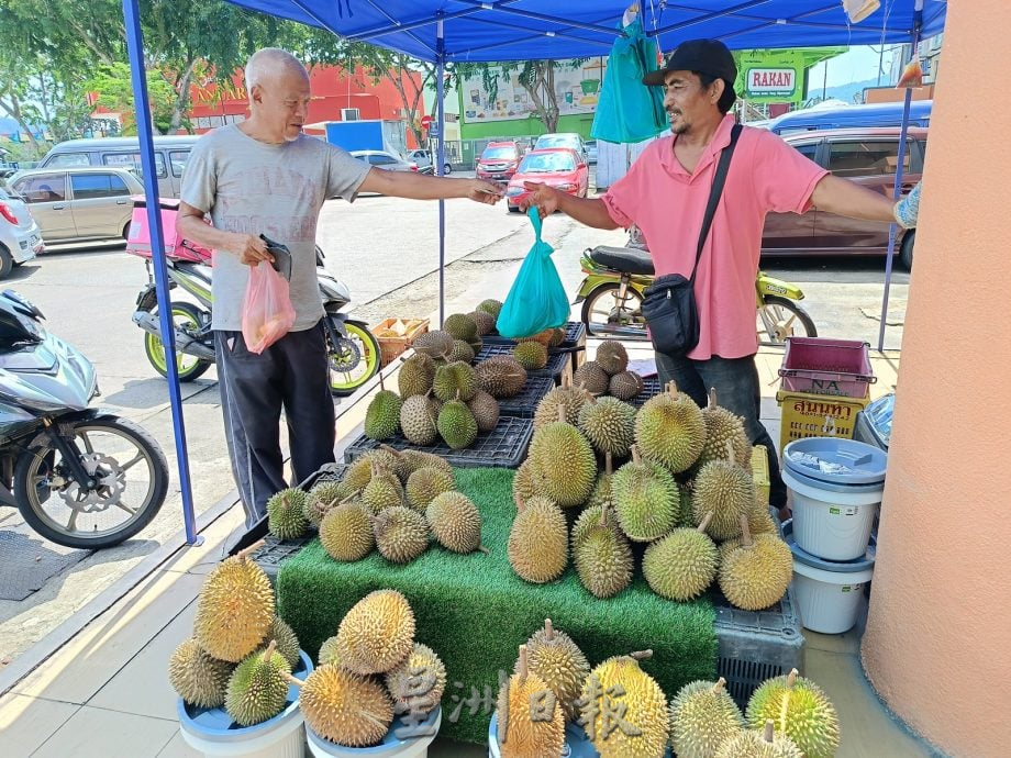 青皮榴梿产量暴跌 部分果农没收成