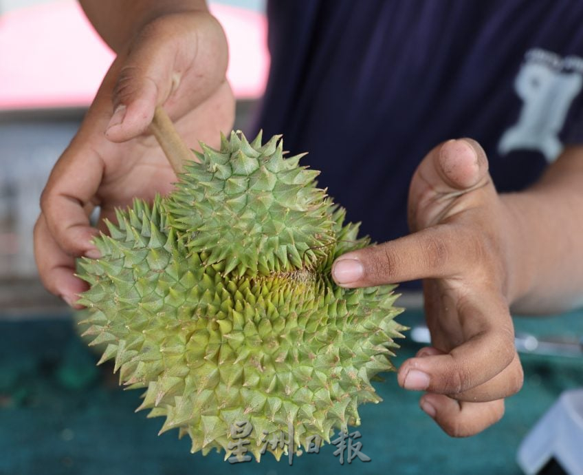 青皮榴梿产量暴跌 部分果农没收成