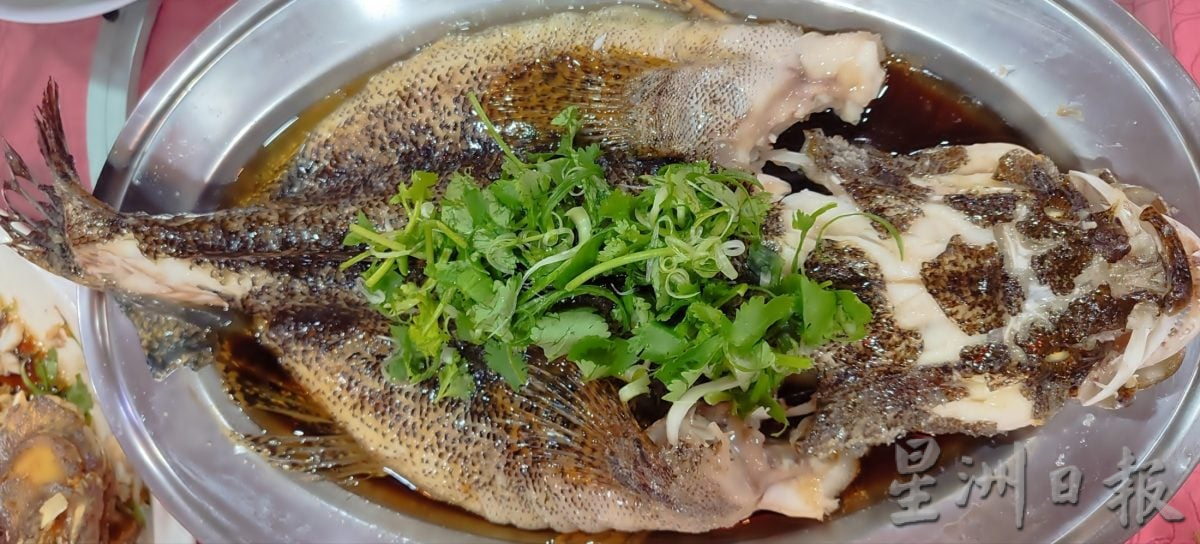 击败中越入口鱼 大马养殖荀壳受落