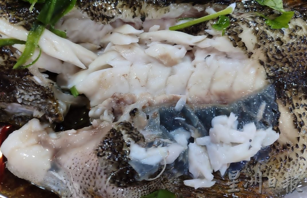 击败中越入口鱼 大马养殖荀壳受落