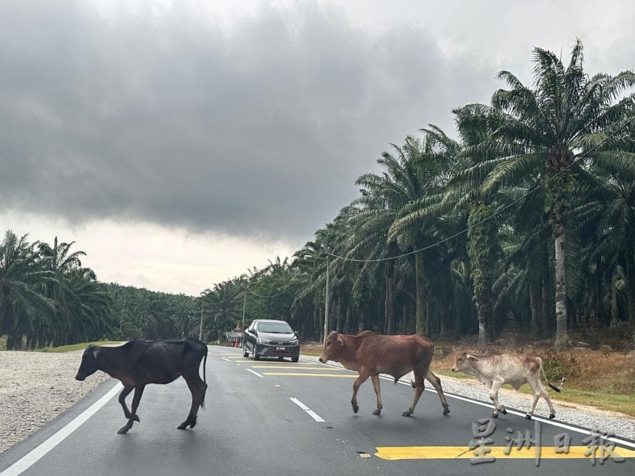 (古城封面副文)甲州议会:修改“动物游荡法案”
