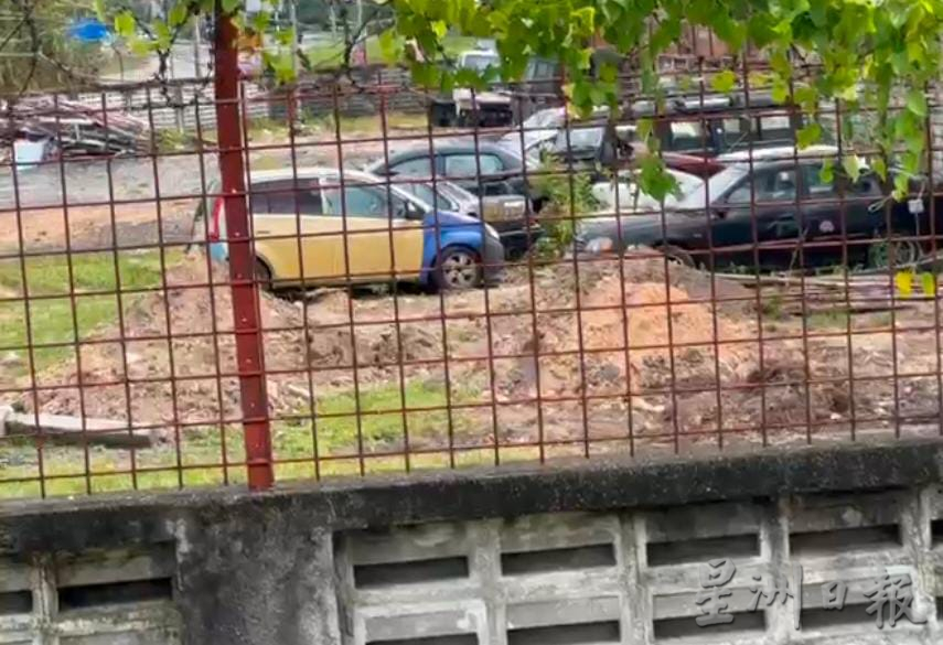 预先挖4坑 过程被拍下 怡市厅疑埋逾20狗尸