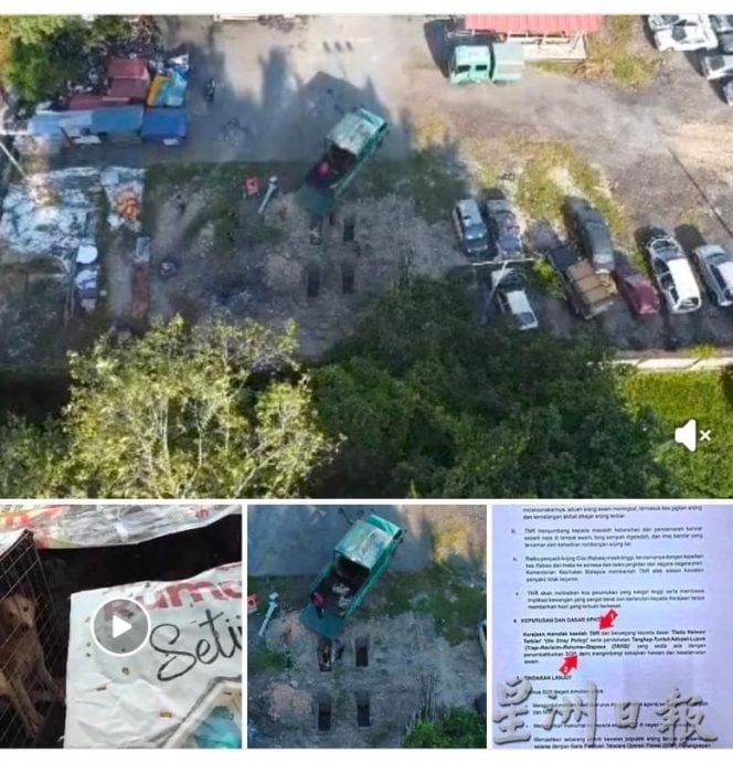 预先挖4坑 过程被拍下 怡市厅疑埋逾20狗尸