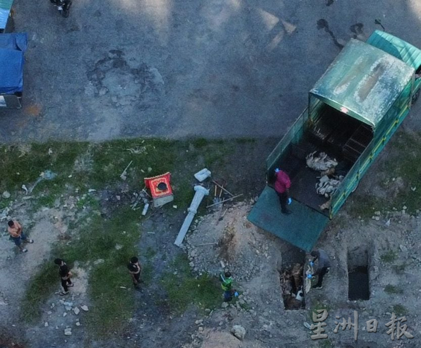 预先挖4坑 过程被拍下 怡市厅疑埋逾20狗尸