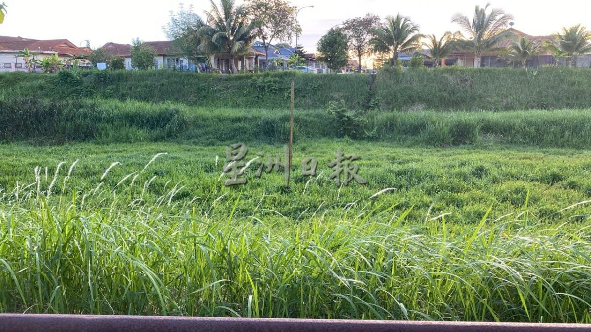 供星洲网／住宅区管理权不明，民生无人理