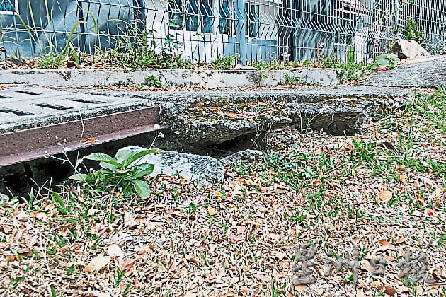 ME03头/士布爹组屋老树问题